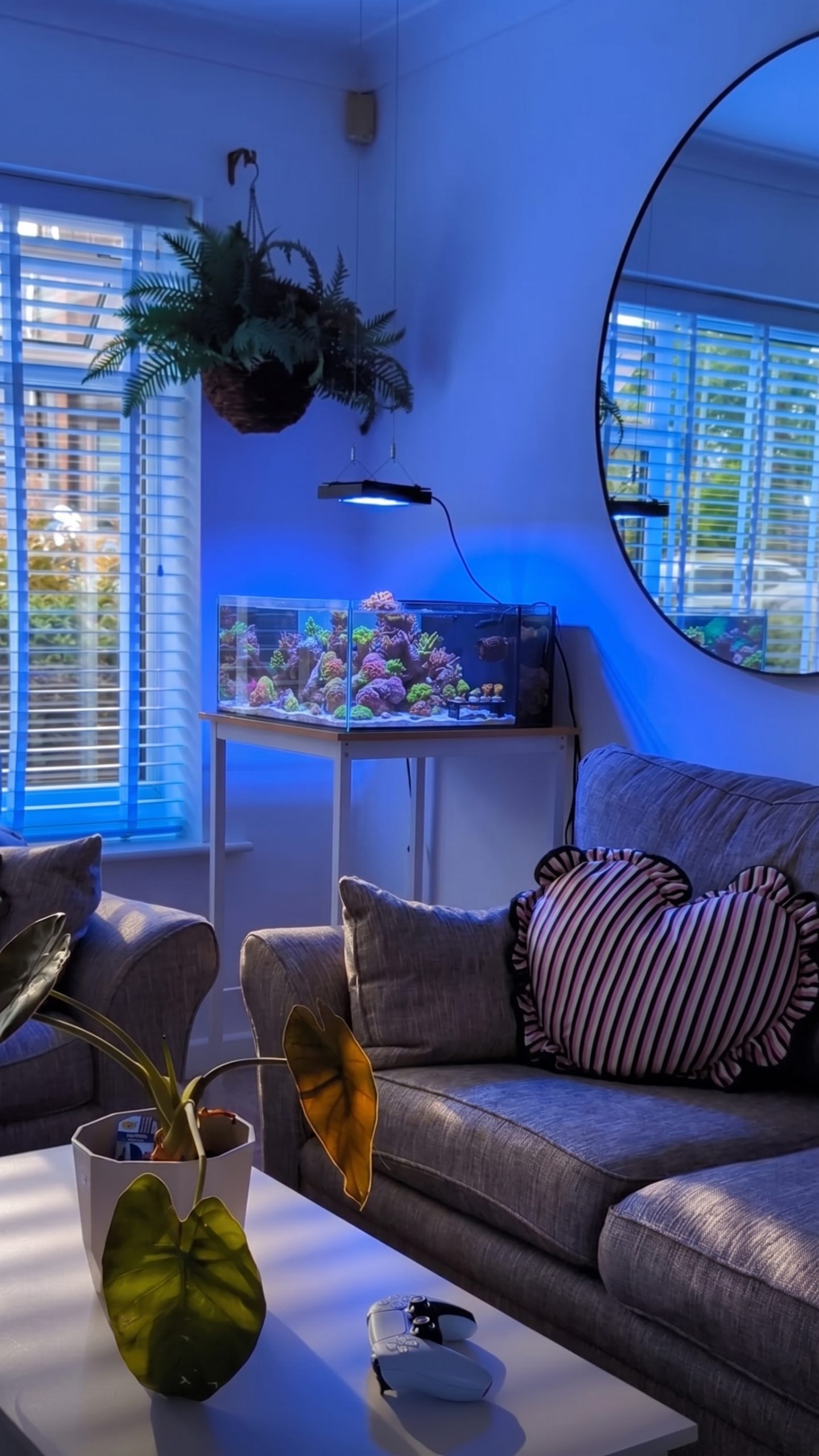 Tide 12 gallon nano saltwater tank floating reef by Yorkshire Reefer