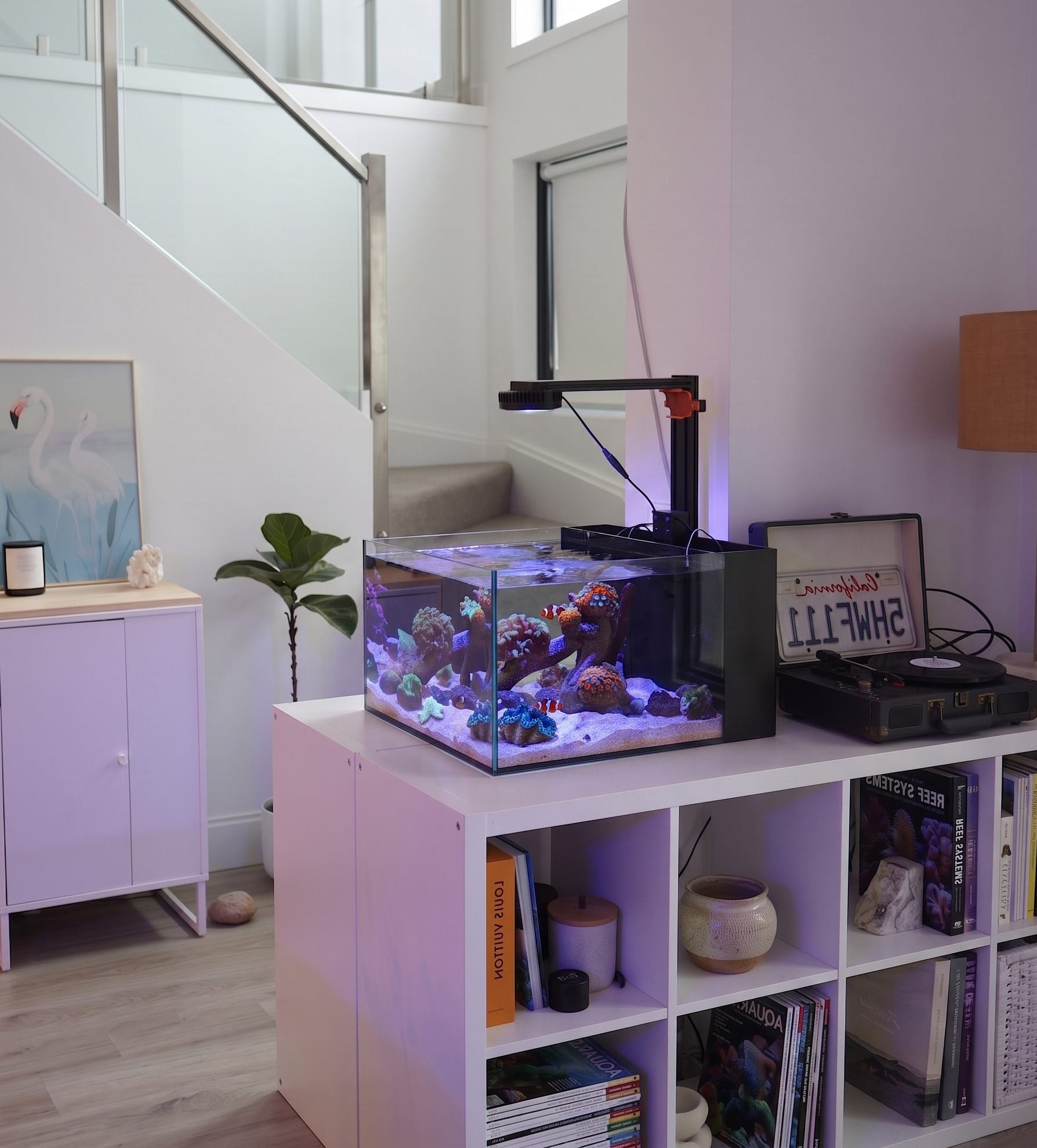 Laguna 24 gallon nano saltwater tank in low iron glass