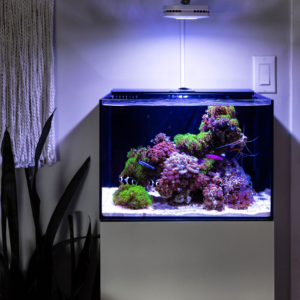 Studio 12 Nano Reef Tank Mark II