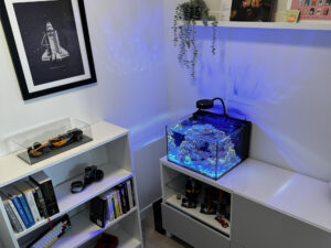 Studio 12 Nano Reef Tank Mark II