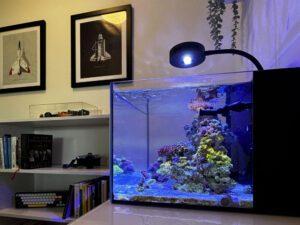 Studio 12 Nano Reef Tank Mark II
