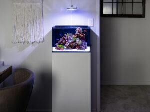 Cube Nano Reef Tank *wholesale*