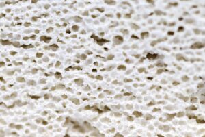 Bacteria Hotel Block *wholesale*