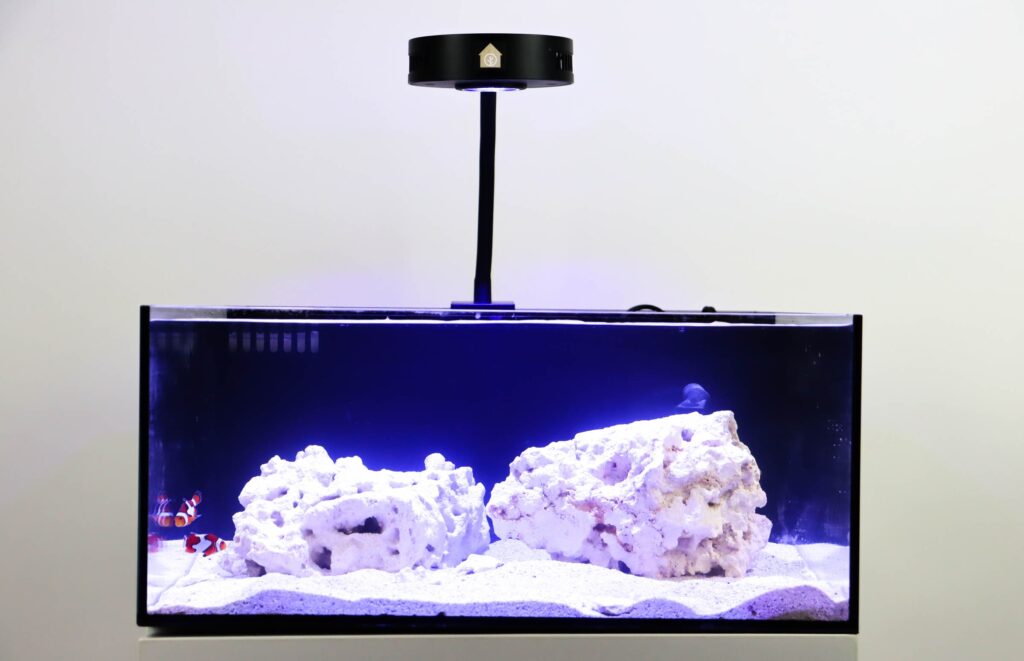 Pico Reef Tank Kit Reef Casa