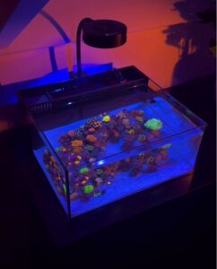 Pico Reef Tank Mark II
