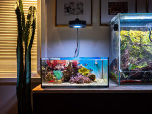 Pico Reef Tank Mark II