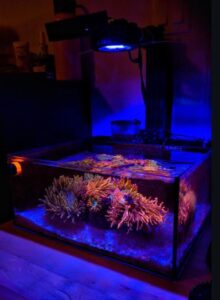 Pico Reef Tank Mark II