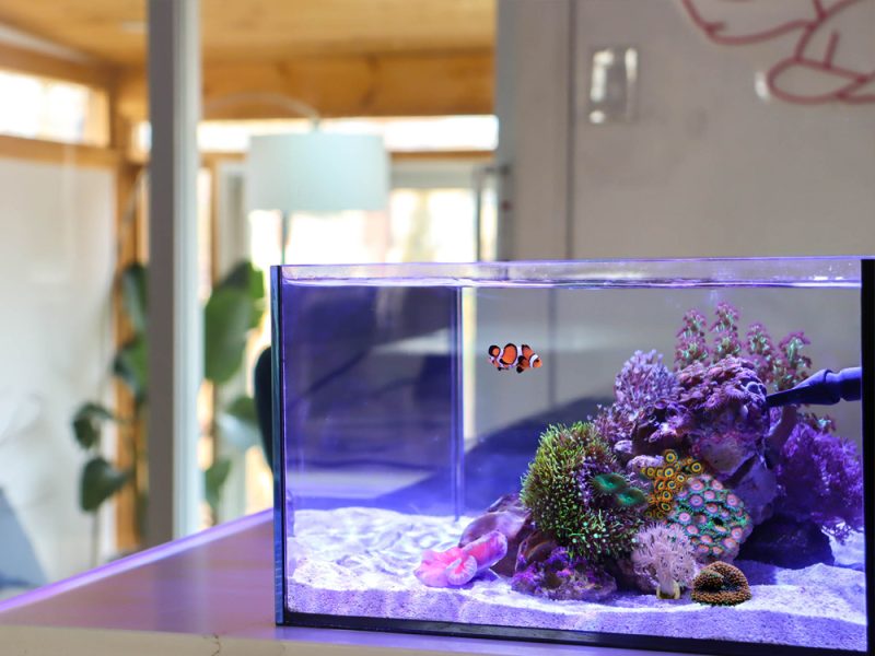 Pico Reef Tank Mark II