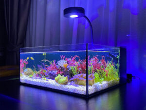 Pico Reef Tank Mark II