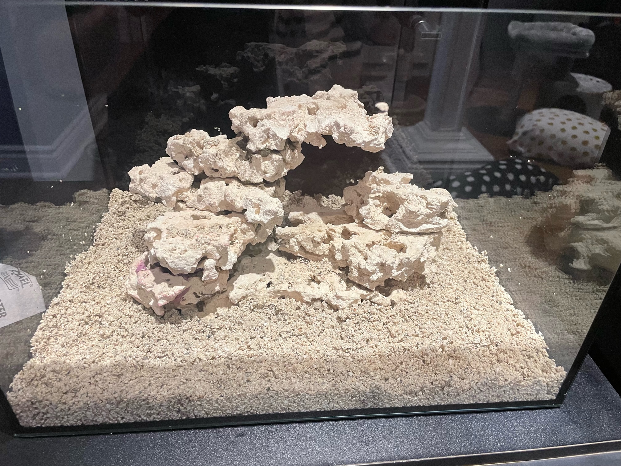 rock aquarium setup