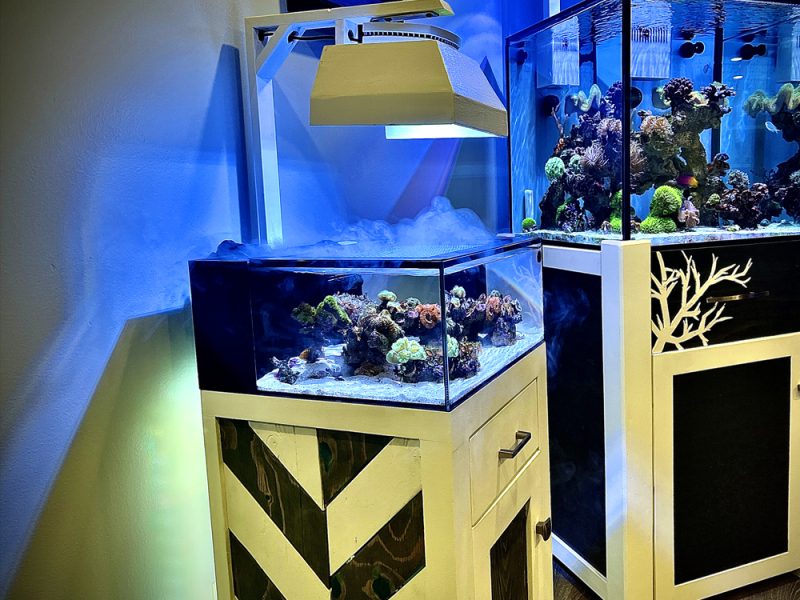 Pico Reef Tank Mark II