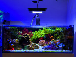 Pico Reef Tank Mark II