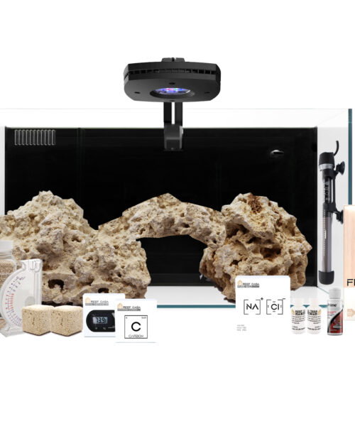 24 Gallon All In One Saltwater Aquarium Kit Reef Casa