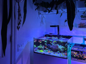 Studio Complete Saltwater Aquarium Kit
