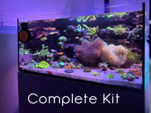 Laguna All In One Saltwater Aquarium Kit