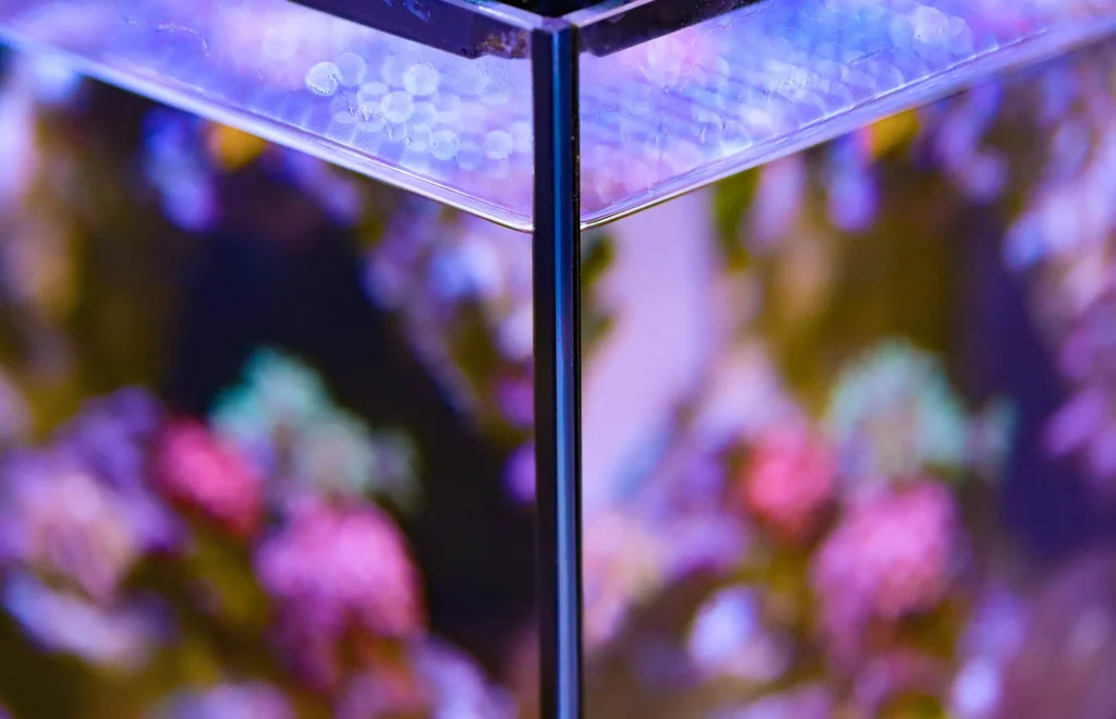 Aquarium Glass Macro Shot