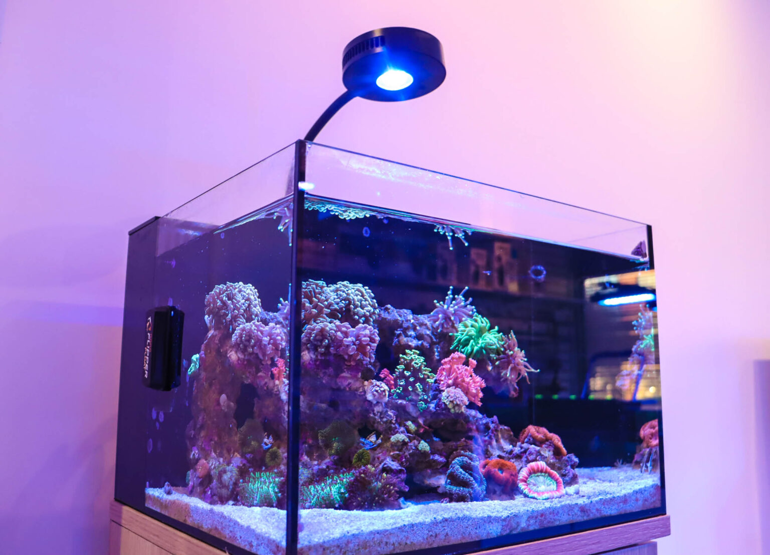All In One Aquariums Reef Casa
