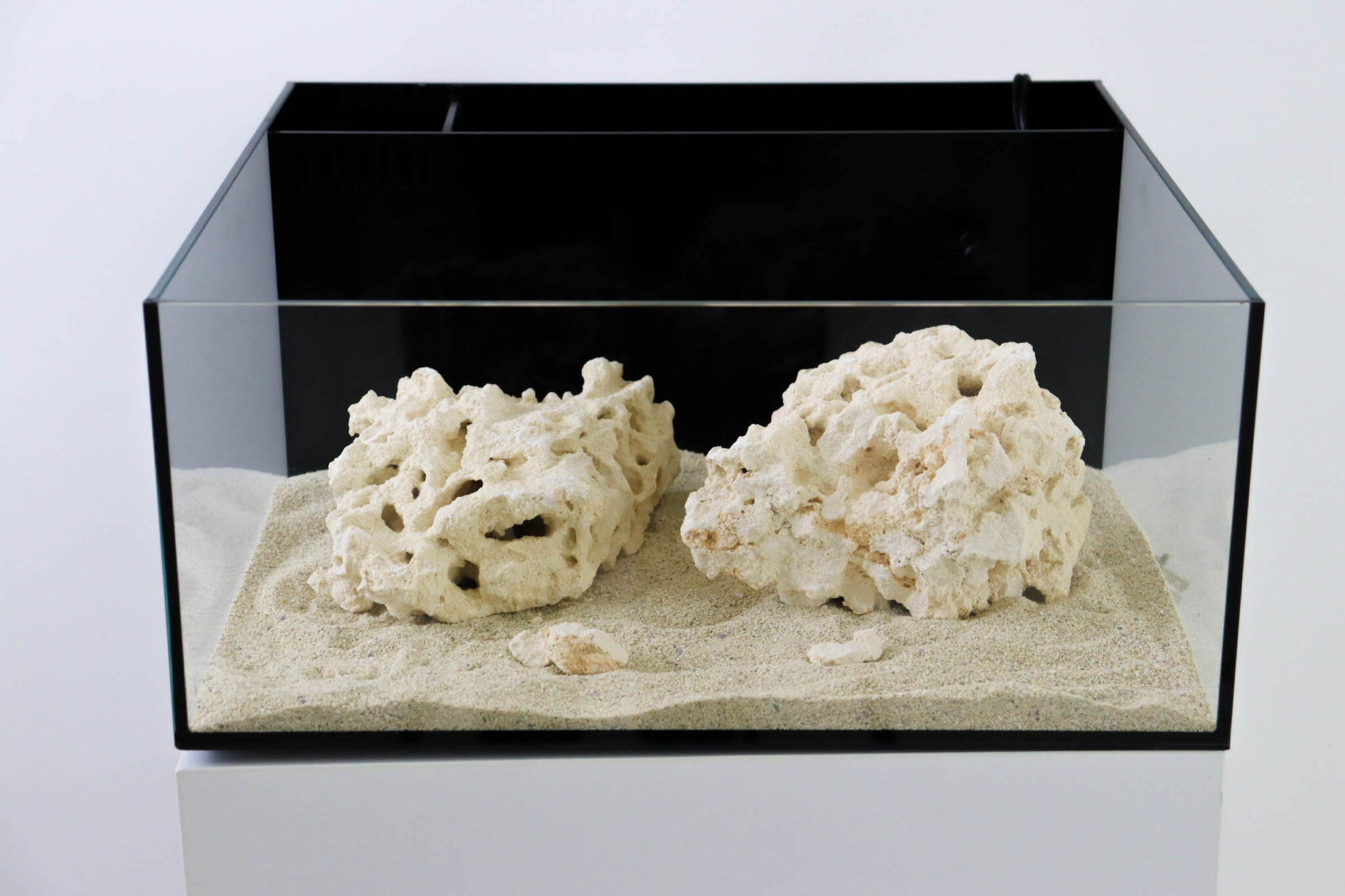 Reef Kit Mini Reef Tank Kits - Reef Casa