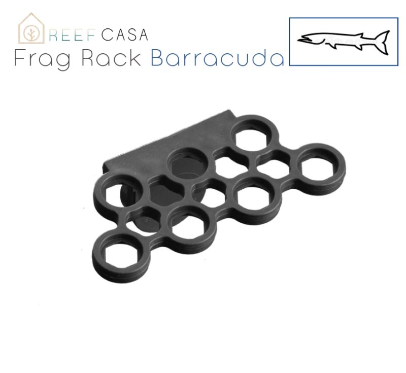 Goby Frag Rack [ 7 Hole | 1/4” Glass ] *wholesale*