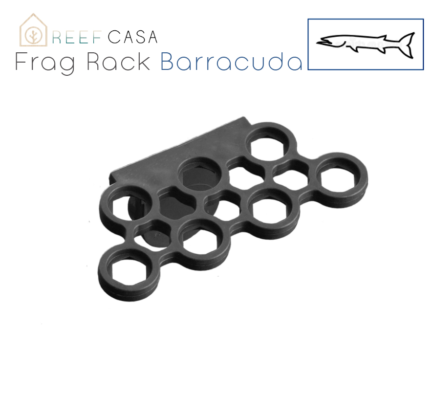 Great White Super Strong Frag Rack [ 11 Hole | 1/2” Glass ] *wholesale*