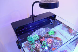 Filtration Cover Nano [Pico | Studio | Cube | Frag Mini] *wholesale*