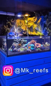 Tide Shallow Aquarium – Mark III