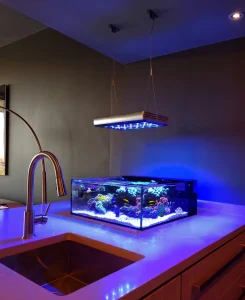 Tide Shallow Aquarium – Mark III