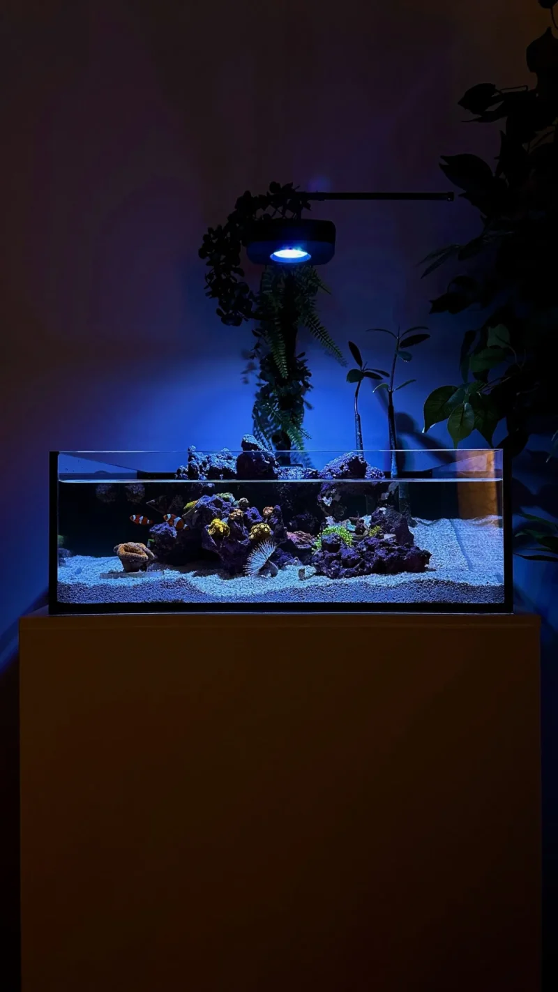Tide Shallow Aquarium – Mark III