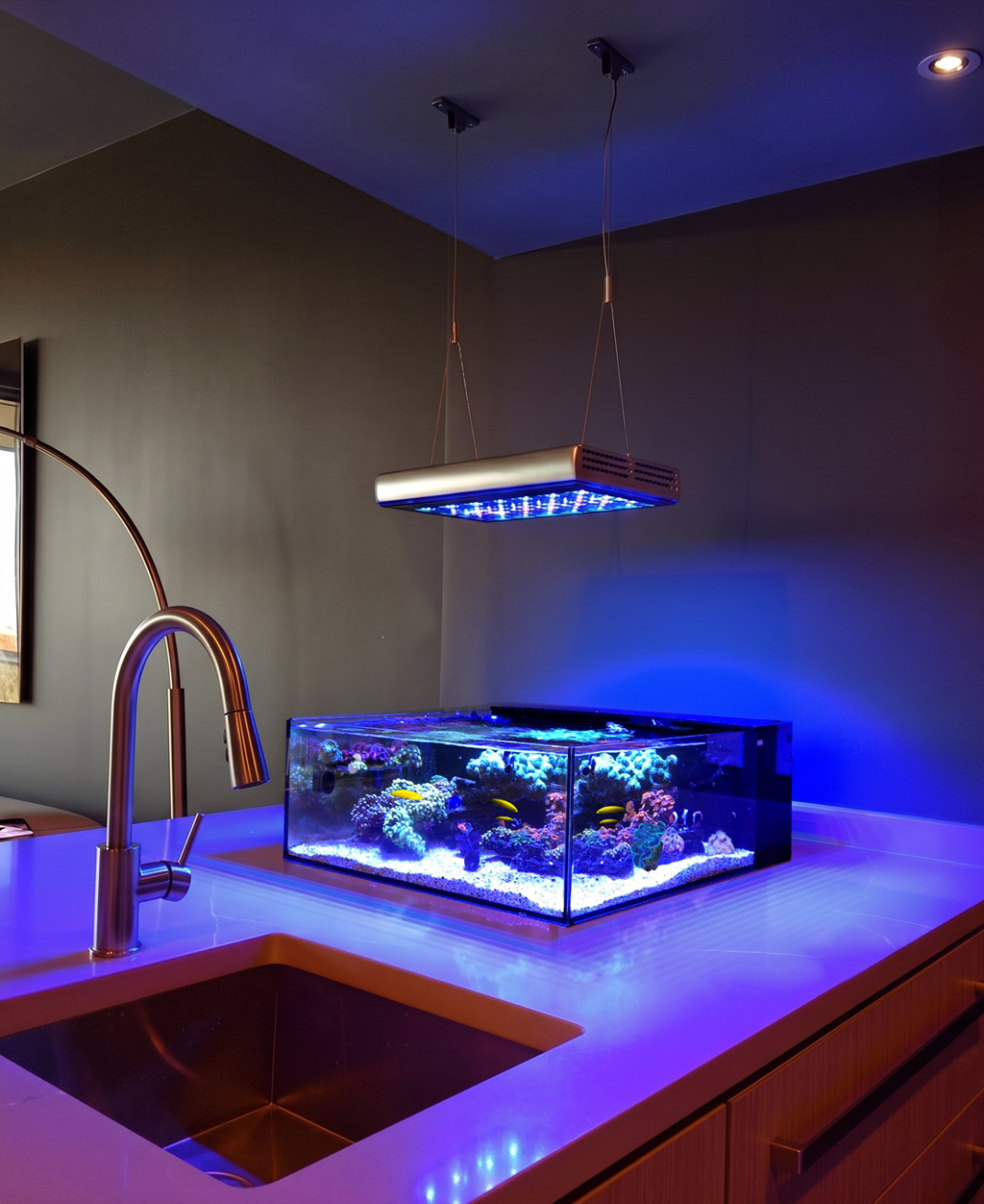 Tide Shallow Aquarium Mark II