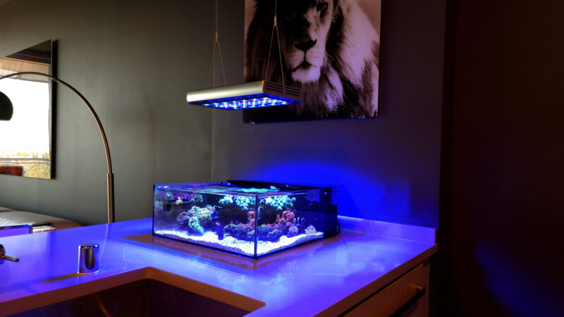 Tide 12 Gallon Shallow Aquarium *wholesale*