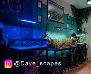 Tide Shallow Aquarium – Mark III