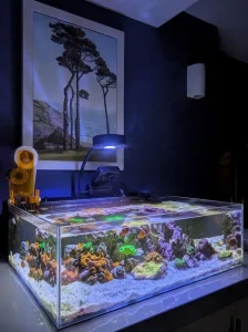 Tide Shallow Aquarium – Mark III
