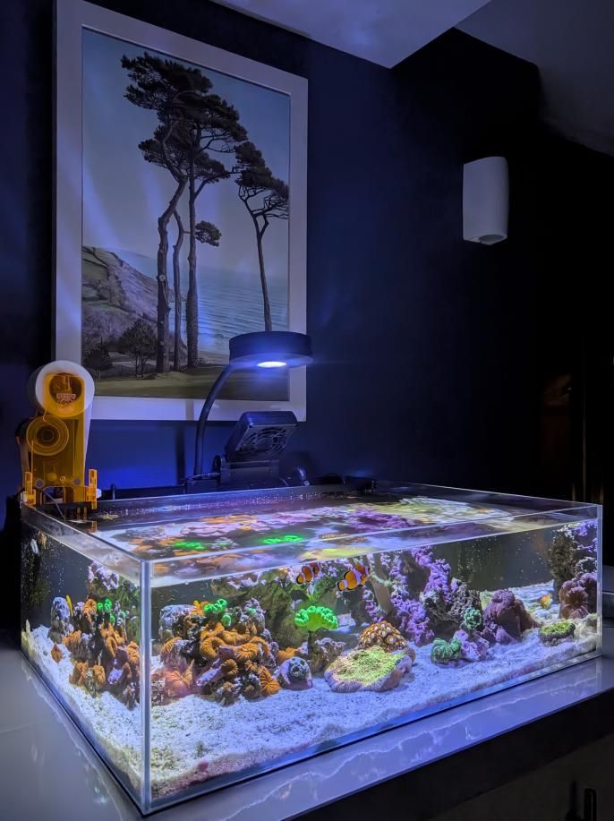 Tide Shallow Aquarium Mark II