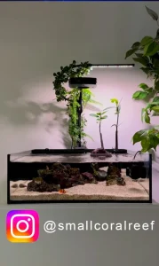 Tide Shallow Aquarium – Mark III