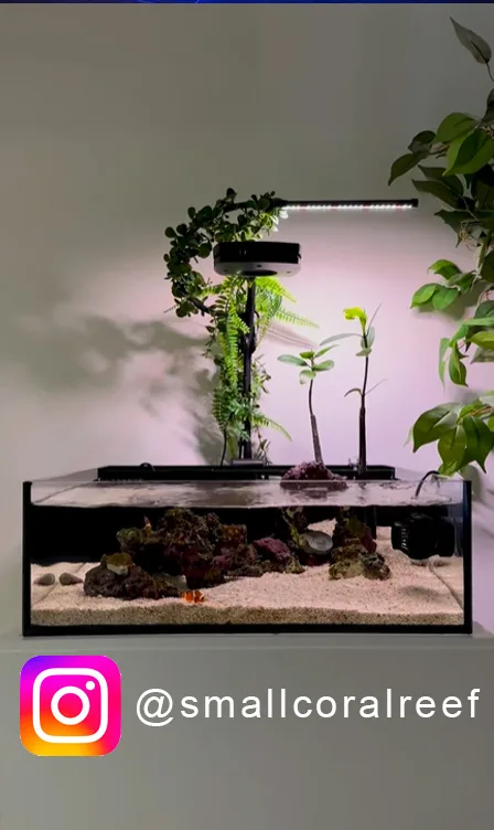 Tide Shallow Aquarium – Mark III