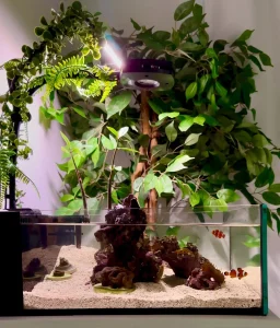 Tide Shallow Aquarium – Mark III