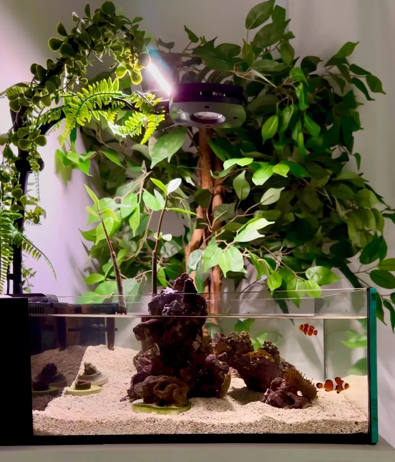 Tide Shallow Aquarium – Mark III