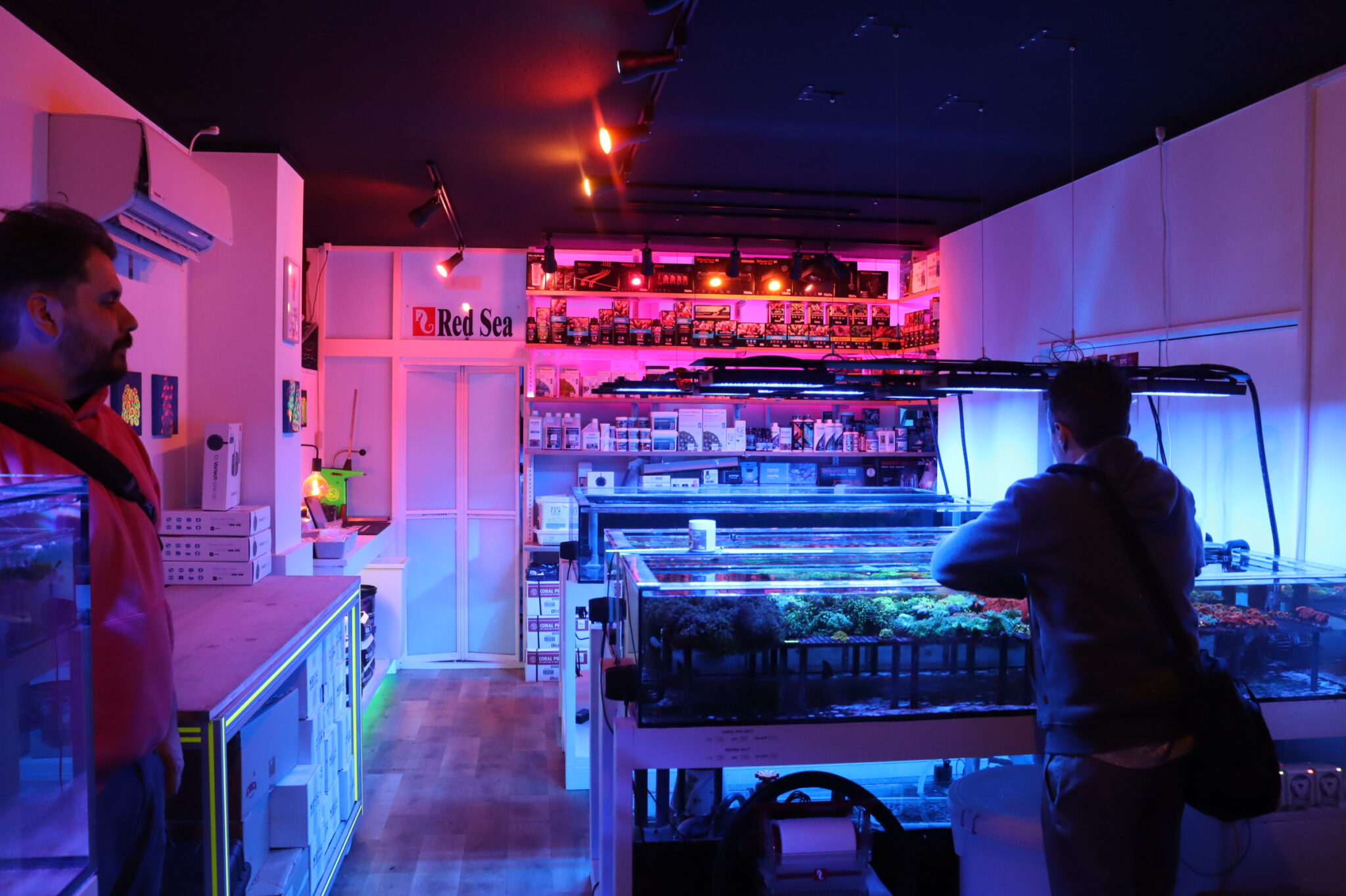 Japan's Best Saltwater Coral & Fish Store Reef Casa