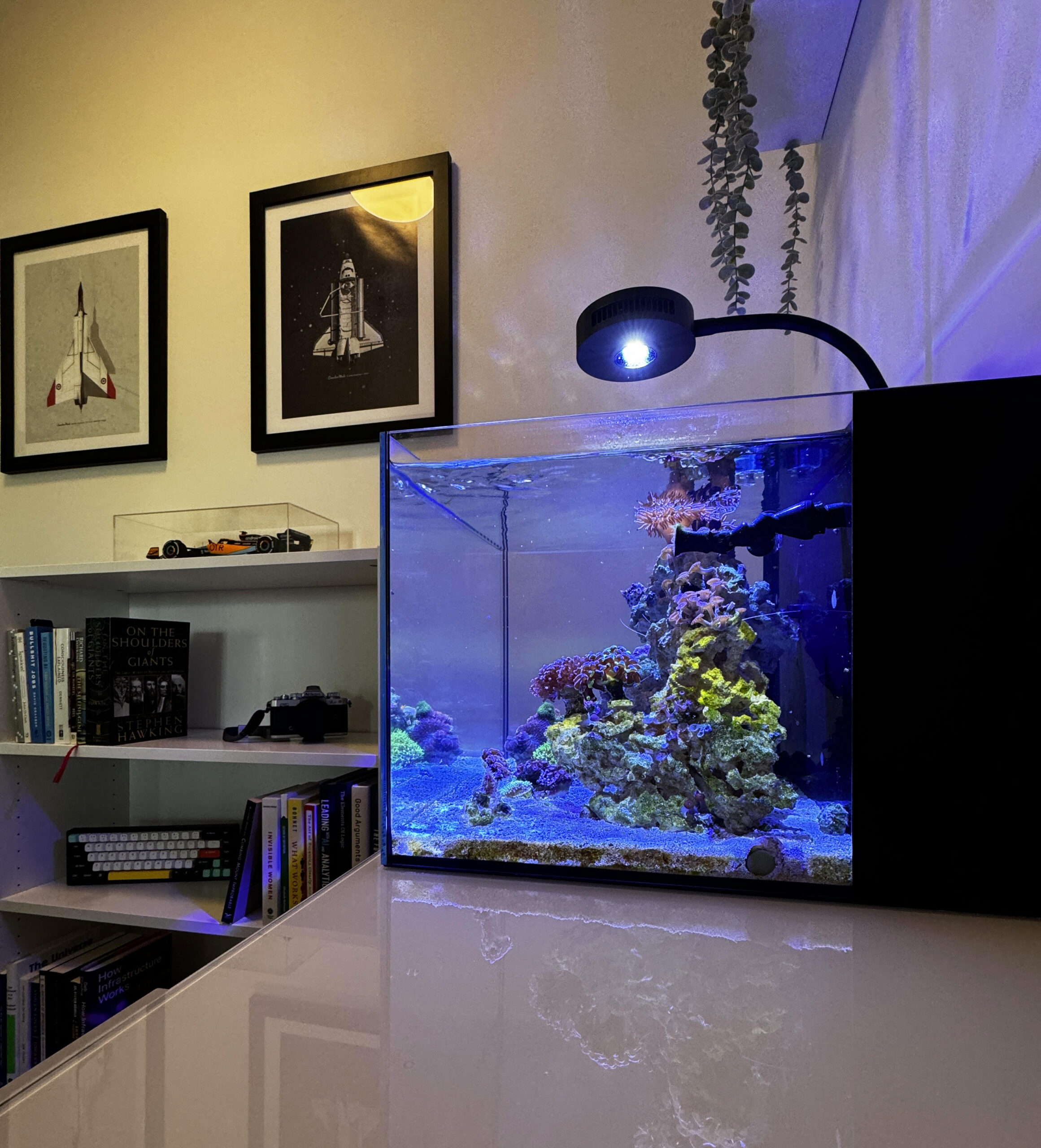 Nano-Komplett-Aquarium 20L,kratzfestes Glas,Filter/Pumpe u.LED-Beleuc