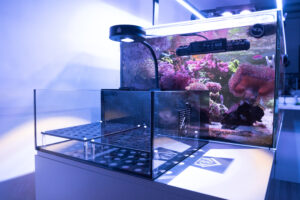 The Mini Frag Tank