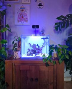 Ghost 15 Gallon White Aquarium