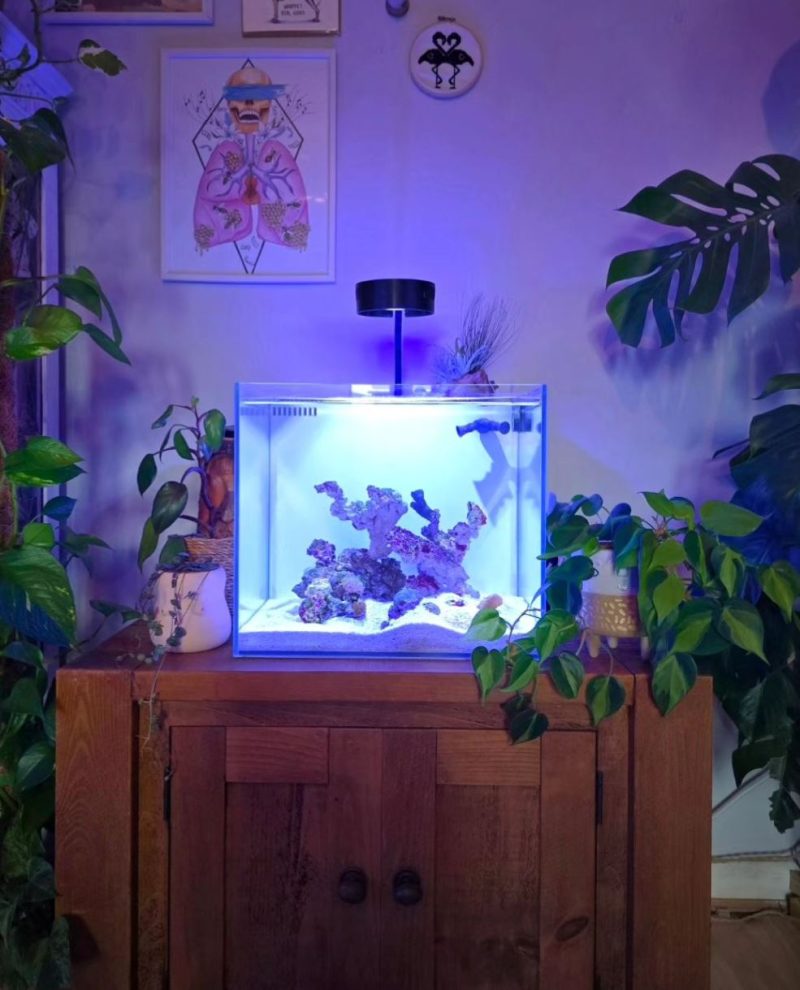 Ghost 15 Gallon White Aquarium