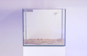 Ghost 15 Gallon White Aquarium