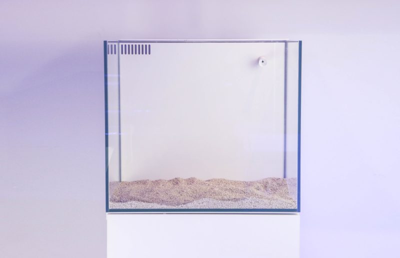 Ghost 15 Gallon White Aquarium