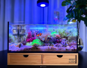 Reef Casa Wooden Cellar Organizer *wholesale*