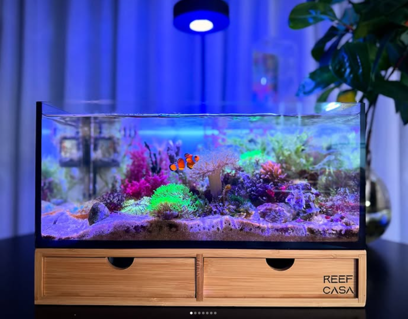Reef Casa Wooden Cellar Organizer *wholesale*
