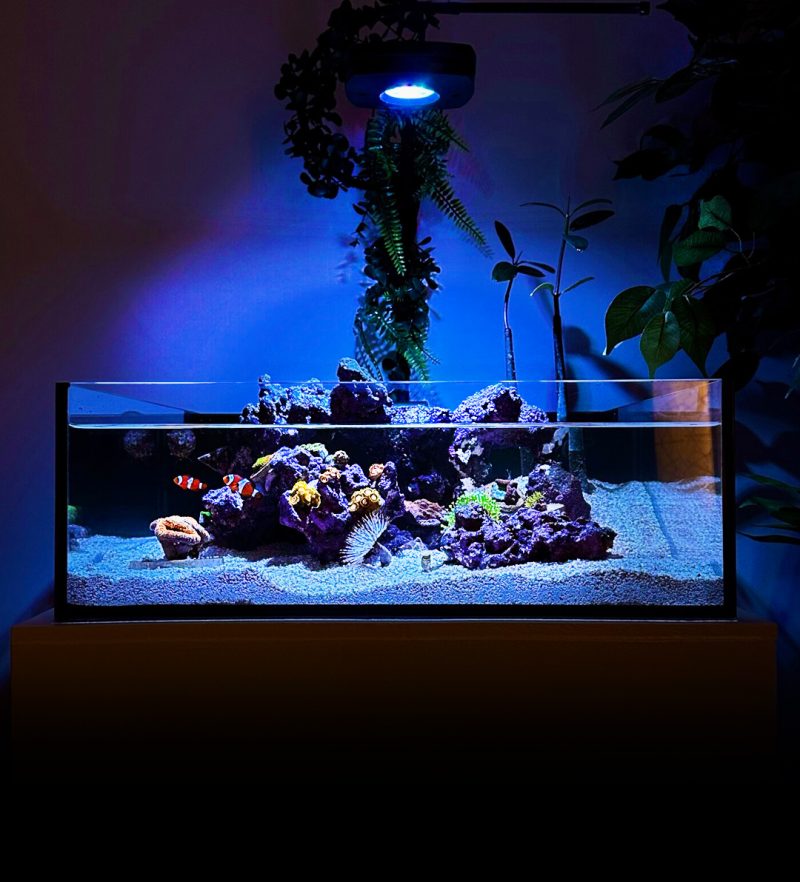 Tide 12 Gallon Shallow Aquarium *wholesale*