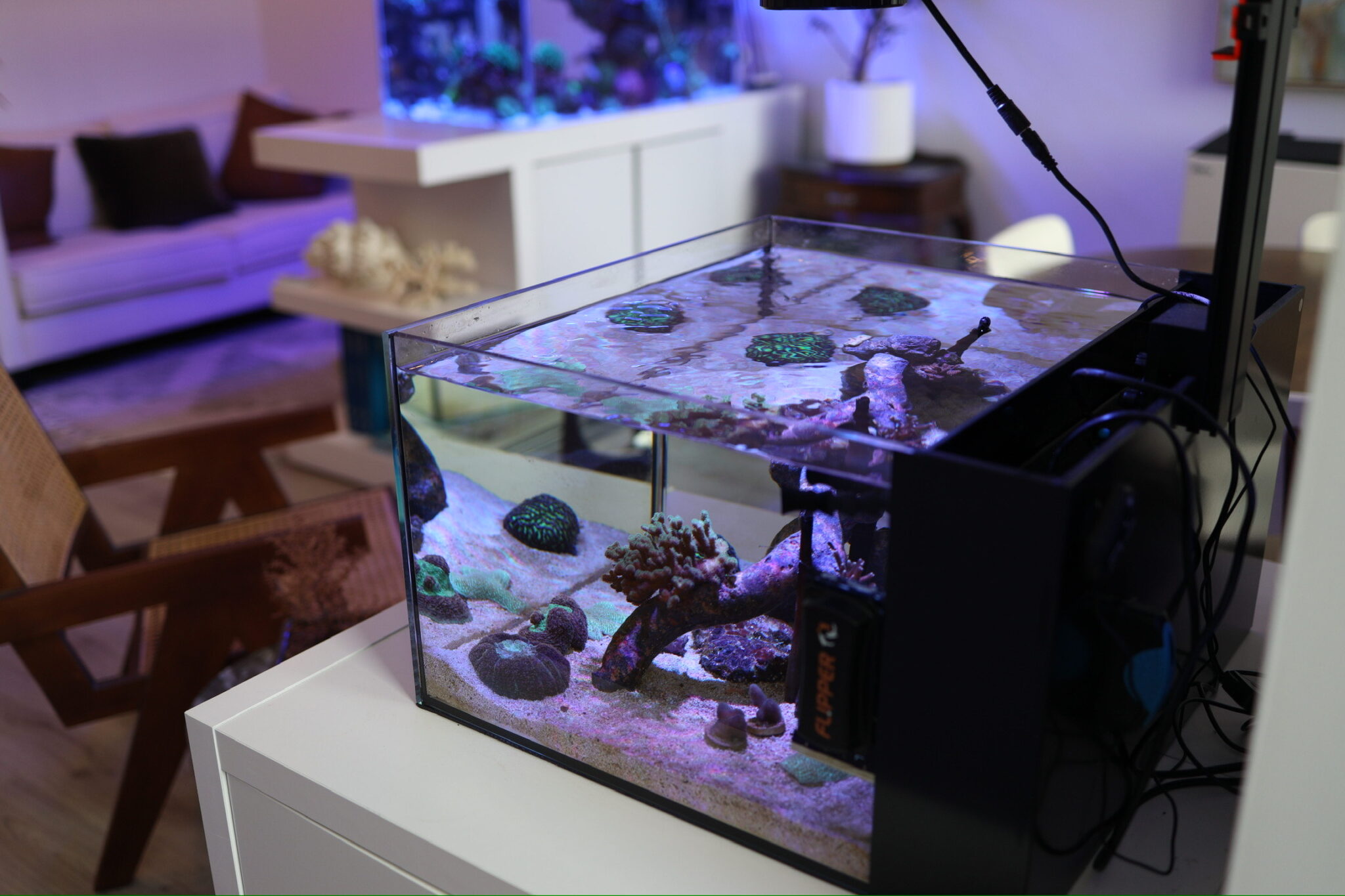Gallery image with a fresh perspective