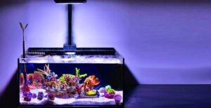 Pico Reef Tank Mark II