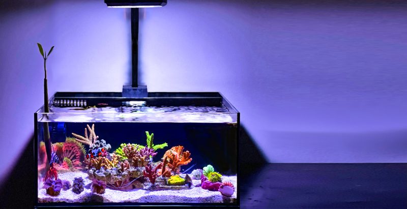 Pico Reef Tank Mark II